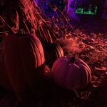 Pumpkins on Halloween Night by How To Holiday