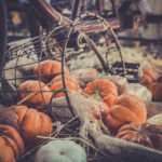 Pumpkins next to a vintage basket and bicycle by How To Holiday