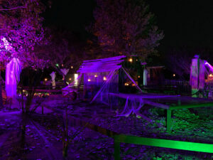 Halloween 2020 - Creepy Haunted Barn in Halloween Haunt under purple lights with candles