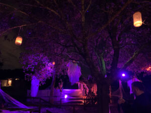 Halloween 2020 - Halloween path with candles and ghosts in tree and red and purple lighting