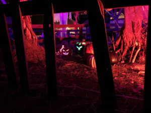 Halloween 2020 - Jack-o-lanterns in a pumpkin patch at night under a red light