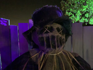 Halloween 2021 - DIY Scarecrow mask and dummy #2