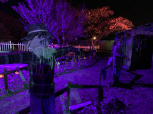 Halloween 2021 - Scarecrow Row Shot 2