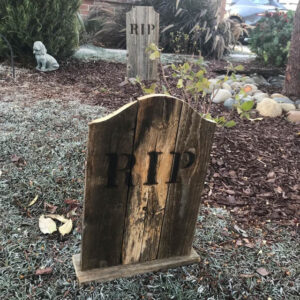 Small bump top and Medium round dog ear wood tombstones in a garden for Halloween