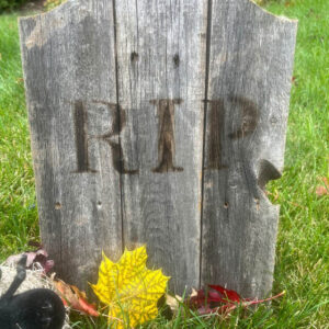 Small Bump Top Tombstone with fall leaves