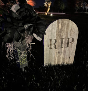 Wood Tombstone Next to Black Plant