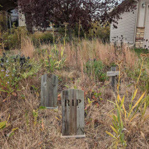 Wood tombstones in awesome yard setting