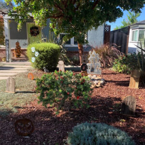 Wood tombstones in garden for Halloween