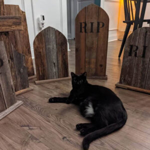 Wood tombstones with black cat